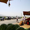 IMG_3559.JPG
