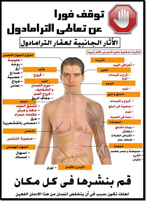 tramadol tramadol