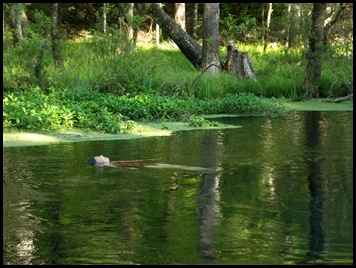 kayaking the Ichtucknee 231