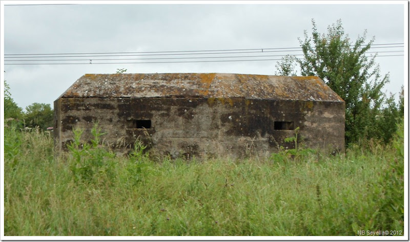 SAM_1269 Nother Pillbox