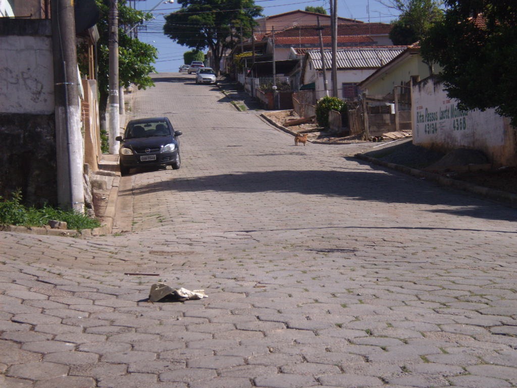 [DOMINGUINHO%255B7%255D.jpg]