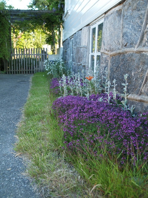 2012-06-27 Hagen på Møll (4)
