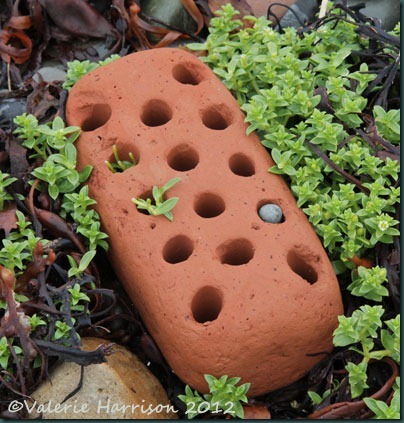 6-brick 6-brick