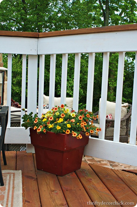 container flowers container flowers