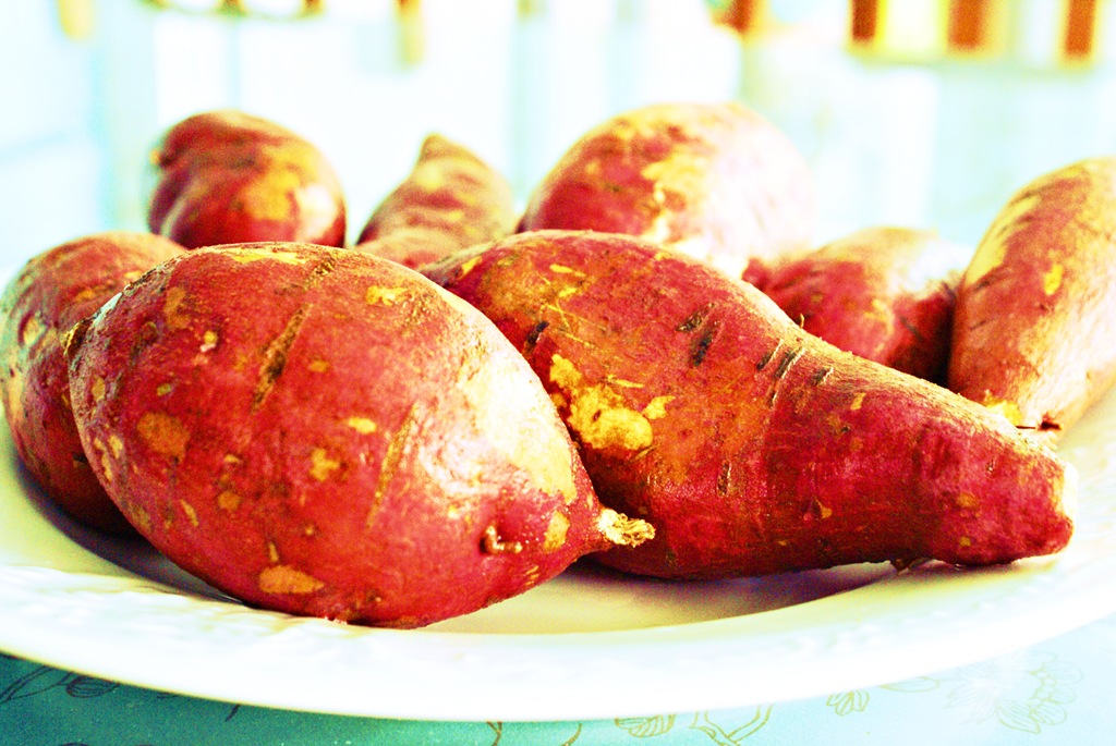 [MaggieLamarre-sweetpotato%255B3%255D.jpg]