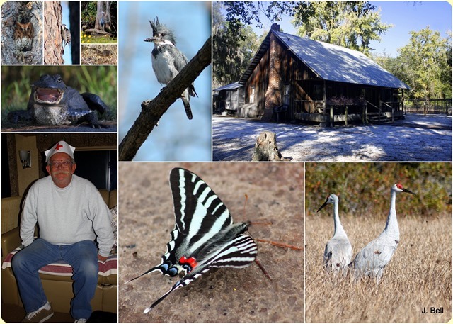 71 Okefenokee NWR 2012-1353