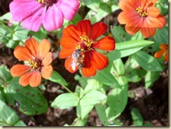 IMG_0891 IMG_0891