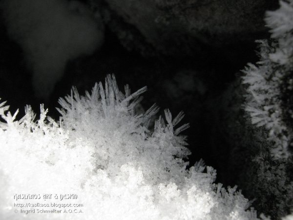 [hoarfrost72%255B5%255D.jpg]