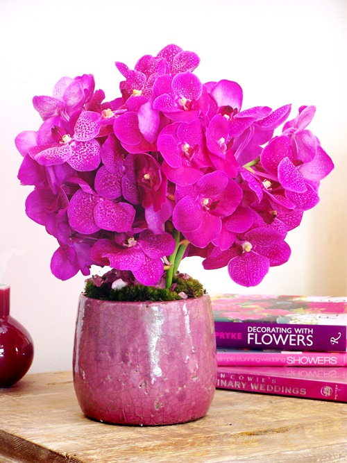 [HNY14-EMPTY-VASE5.jpg]