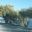 Kreta-10-2010-199.JPG