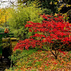 _DSC8261.jpg