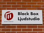 Black Box.jpg