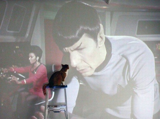 [viral-picdump-pics-20%255B2%255D.jpg]
