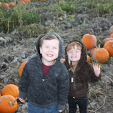 IMG_8461.JPG