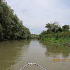 IMG_5205.JPG