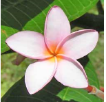 [image%255B30%255D.png]