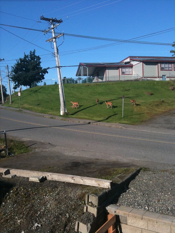 [IMG_0733%255B1%255D%255B4%255D.jpg]