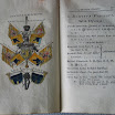 powstanie listopadowe 064.jpg