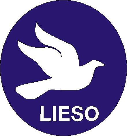 [LOGO-LIESO5.jpg]