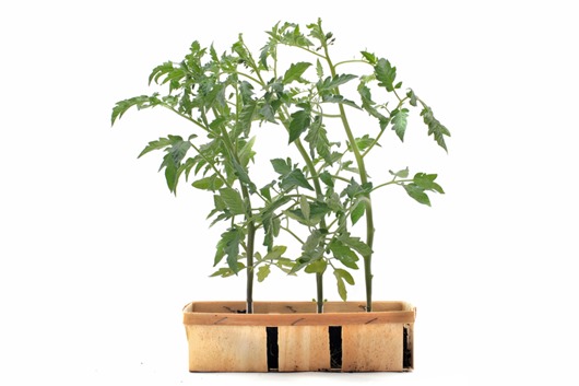 [105189_or%255B3%255D.jpg]