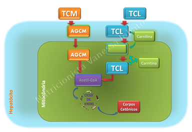 TCM TCL oxidação TCM TCL oxidação