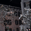 DSC_0470-1.JPG