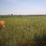 ICAM0082.JPG