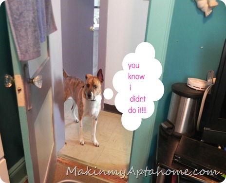 DSCN9693