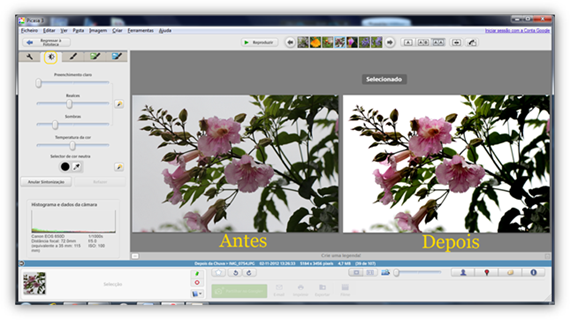 Aprimoramento de fotos no Picasa Melhore as suas fotos com o Picasa