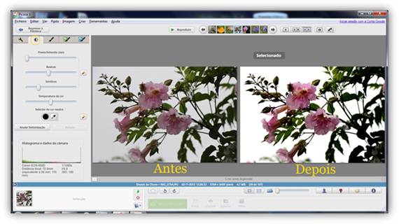 Melhore as suas fotos com o Picasa