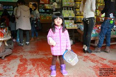 IMG_3722 IMG_3722