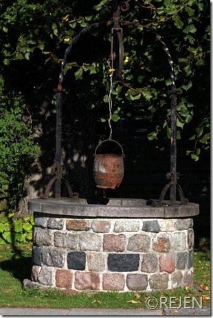 IMG_2554 IMG_2554