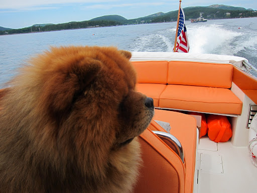 Captain Martha!  Chart a course for x44.2612, -68.2395 - Little Cranberry Island and the Islesford Dock Restaurant and Gallery!