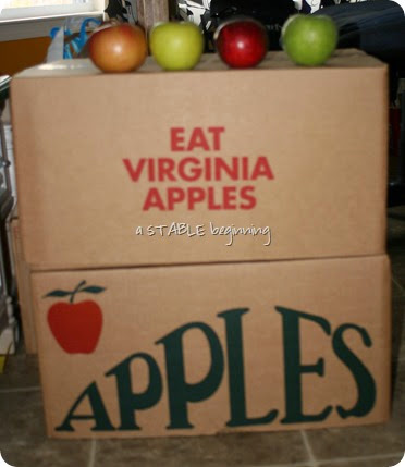 apples 001