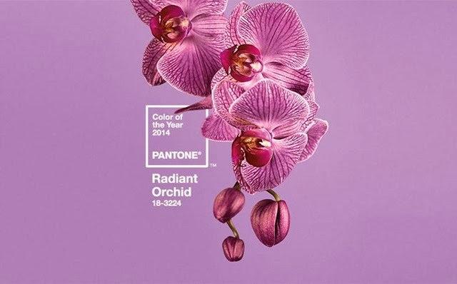 [Perscentrum-Wonen-Pantone-kleurenstaal-Radiant-Orchid%255B3%255D.jpg]