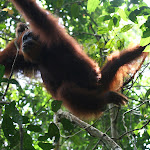 IMG_6904.JPG