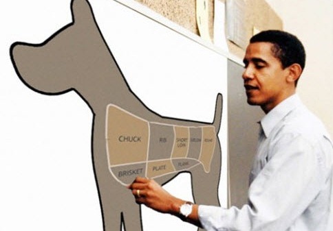 [obama-dog-meat-chart%255B7%255D.jpg]