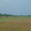 P1000882.JPG