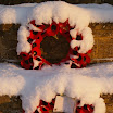 IMGP0822.JPG