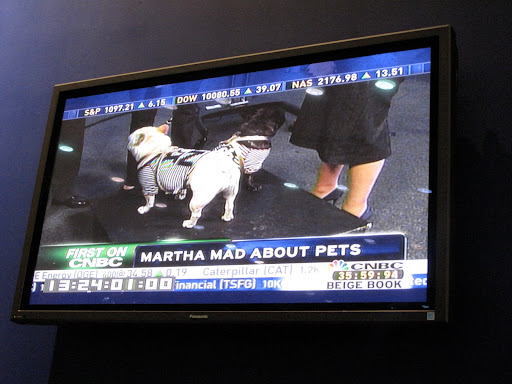 There we are live on TV - Oops - I guess we weren't facing the right camera.