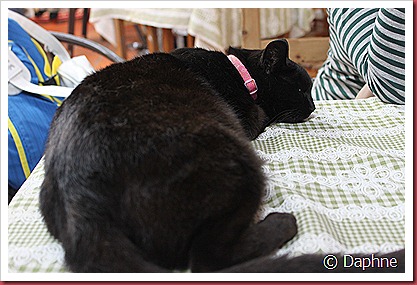 IMG_6244 IMG_6244