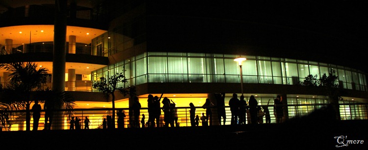 IMG_0411 IMG_0411