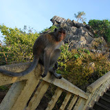 Thialand