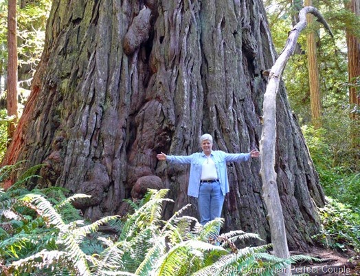 Brenda and Redwood