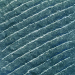 1 - Taille : Striée