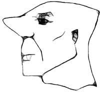 nosy.png Nosy