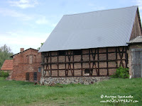 dsc06576.jpg