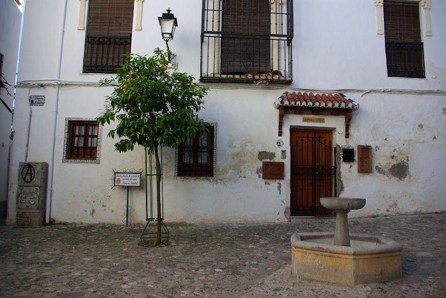 IMGP3088.JPG