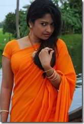 mithra kurian latest hot gorgeous saree photos stills from nanthanam