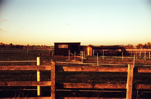 Horse-Land-3---XPRO Horse-Land-3---XPRO